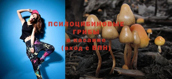 стафф Волоколамск