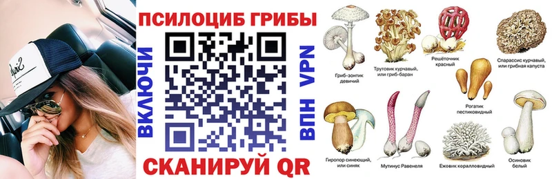 Галлюциногенные грибы Cubensis  Малмыж 